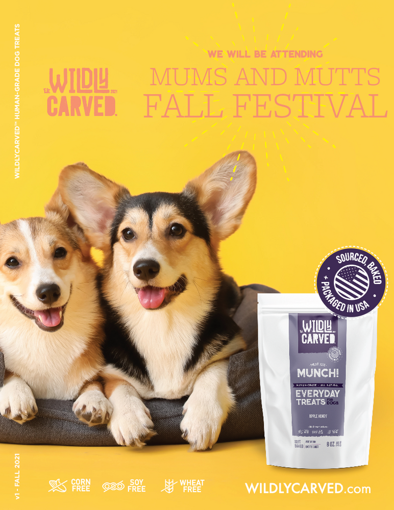 Giving Back - Mums and Mutts Fall Festival 2021